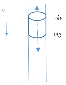 forze agenti sul magnete in caduta