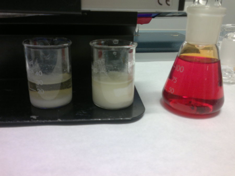 precipitazione dell'acido fumarico e fine precipitazione (becker di destra)