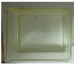 un ago che galleggia sull'acqua