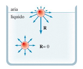 forze di coesione delle molecole d'acqua nel mezzo e in superficie