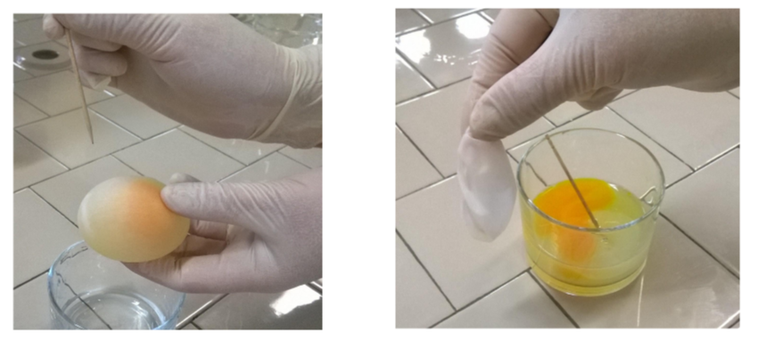 la membrana selettiva