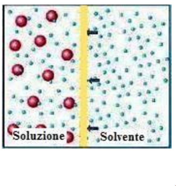 funzionamento microscopico di una membrana semipermeabile