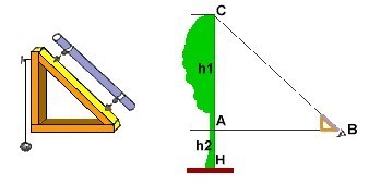 Disegno schematico di un dendometro, a sinistra, e principio di funzionamento, a destra, in rapporto ad un albero