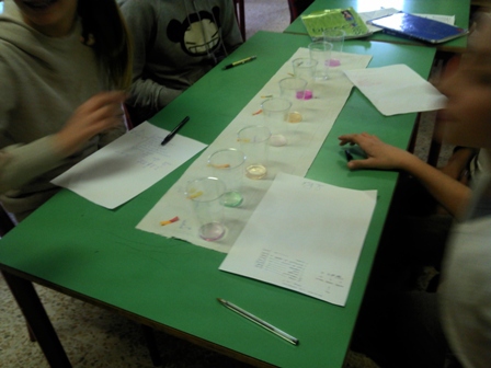 preparazione di diverse soluzioni: gli studenti sono intorno al tavolo con bicchieri contenenti diverse soluzioni