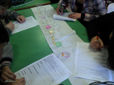 osservazione e descrizione di miscele varie: i ragazzi sono intorno a un tavolo con diverse soluzioni colorate nei becker