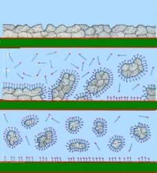 proprietà detergenti del sapone: le molecole del sapone "racchiudono" le particelle di sporco in un involucro solubile in acqua che ne permette la dispersione