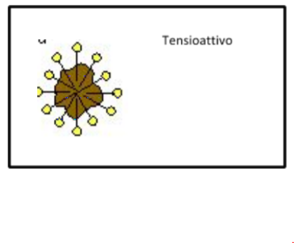 goccioline di grasso circondate da molecole di tensioattivo