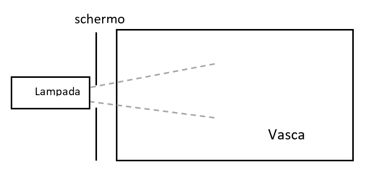 schema dell'esperimento