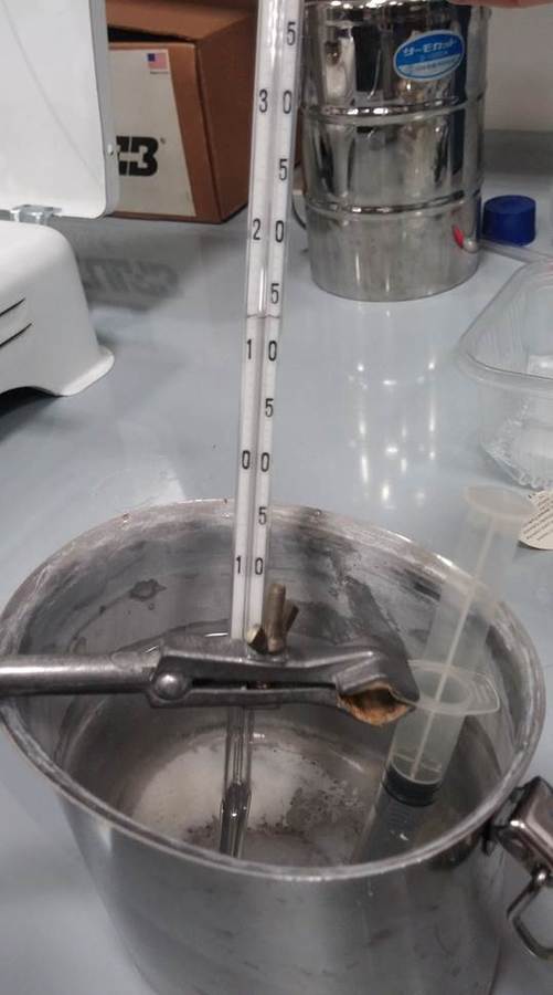 il materiale necessario