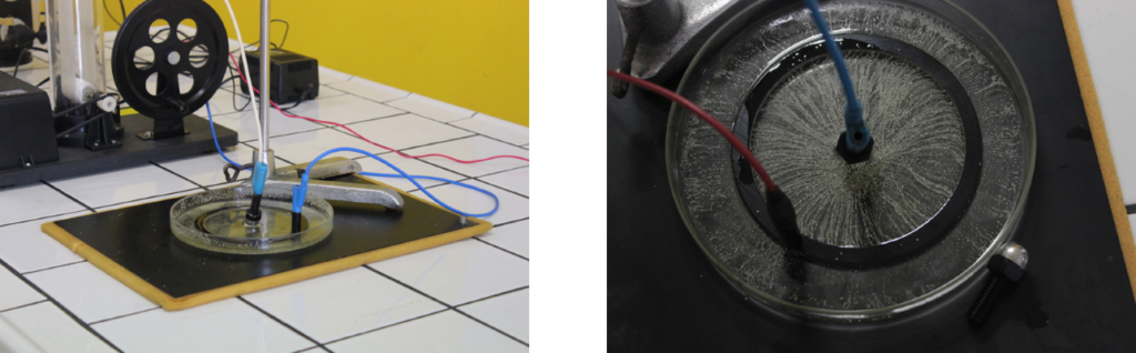 osservazione delle linee di forza radiali generate da una carica puntiforme