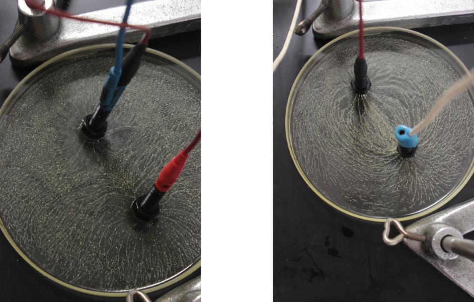 visualizzazione delle linee di forza di due cariche uguali