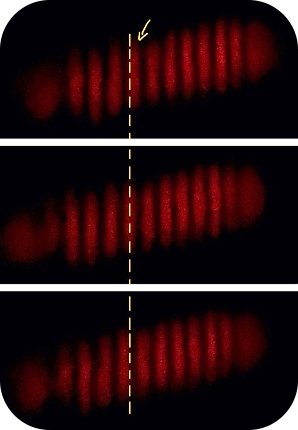 illustrazione del movimento e del conteggio delle frange