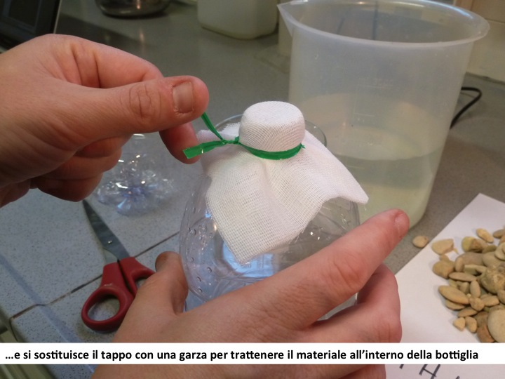 garza sul tappo della bottiglia