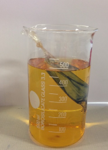 osservazione dopo 30 minuti