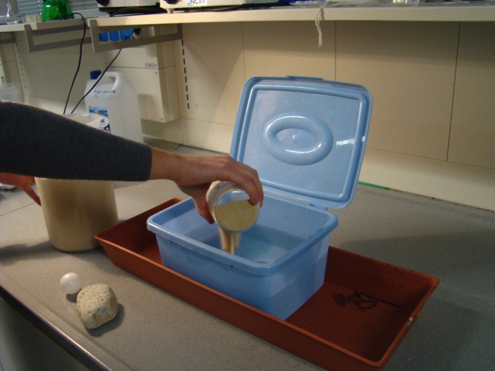 versare la sabbia nel contenitore