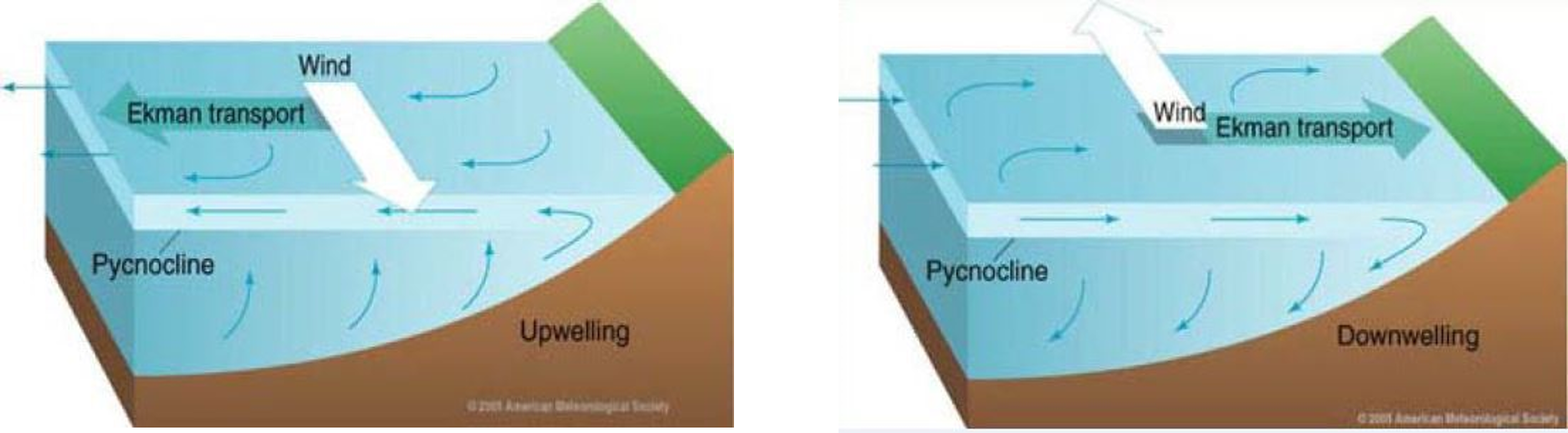 upwelling e downwelling