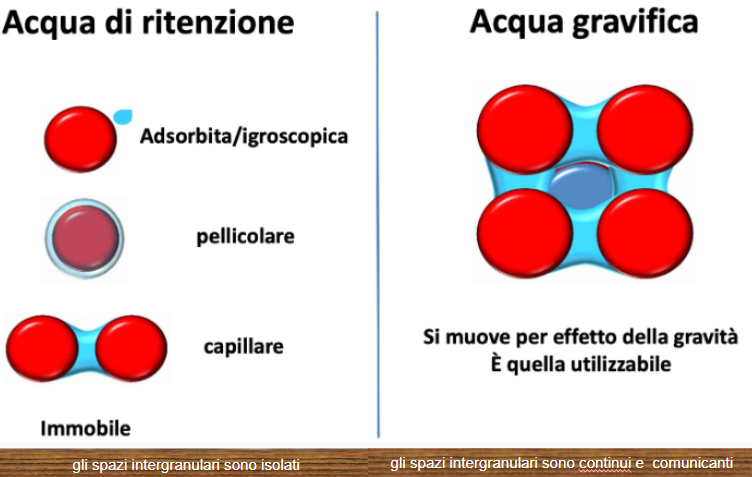 tipi di acque nelle rocce: igroscopica, pellicolare, capillare gravifica 